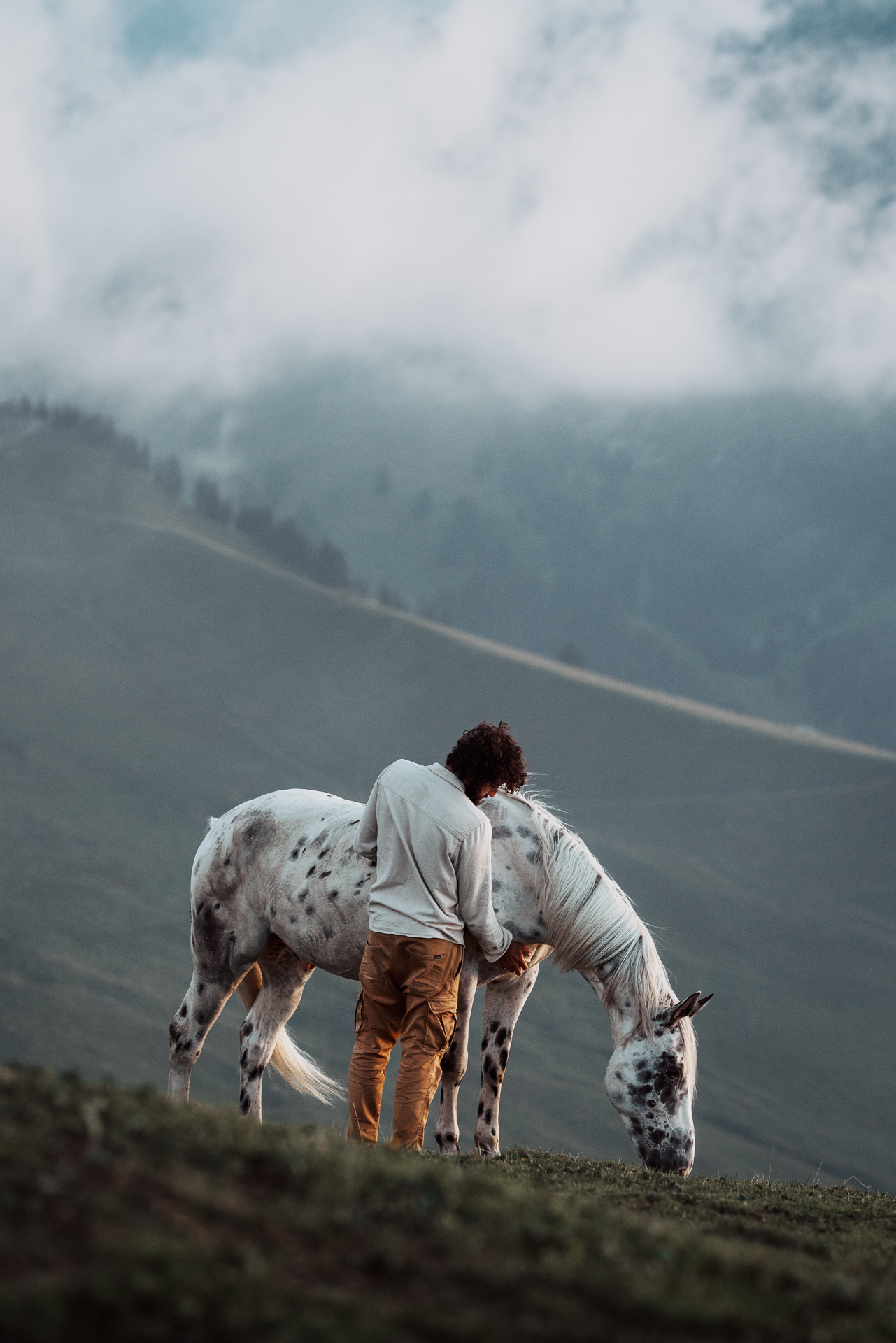 Matthias Geysen - Horse Wisdom Guide